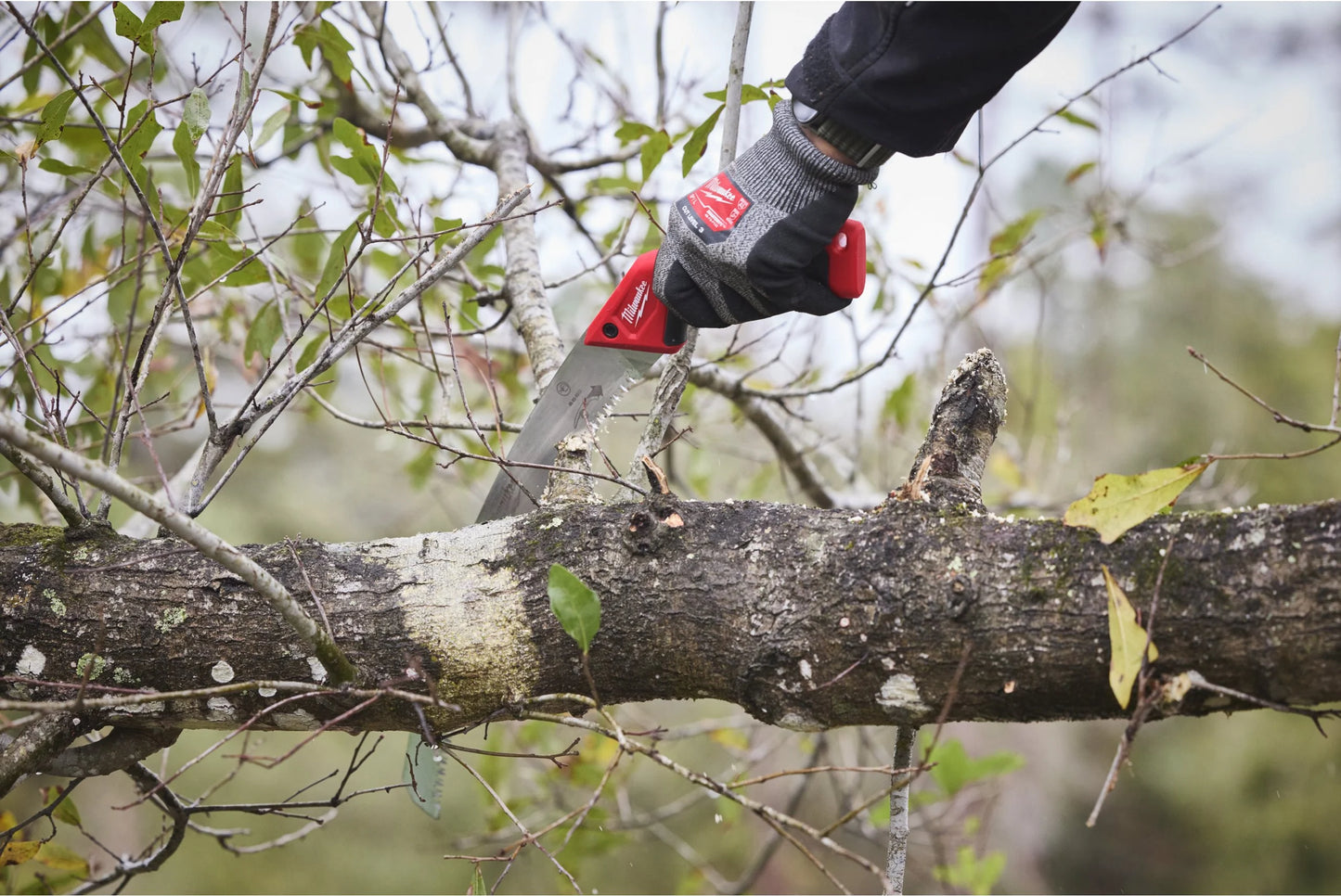 Serrucho de poda curvo con funda 35cm Milwaukee