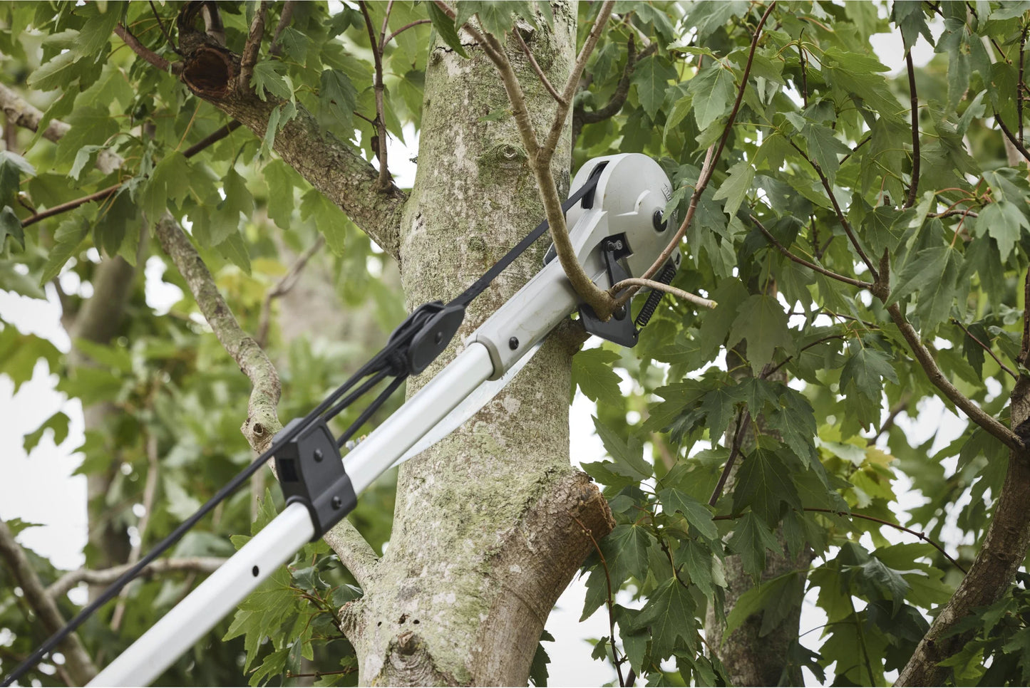 Milwaukee Pole Saw with Pruner